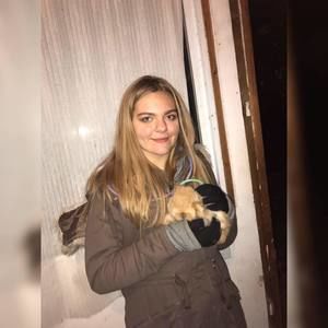 Meet your Posher, Ava